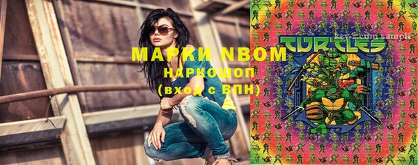 сатива Покров